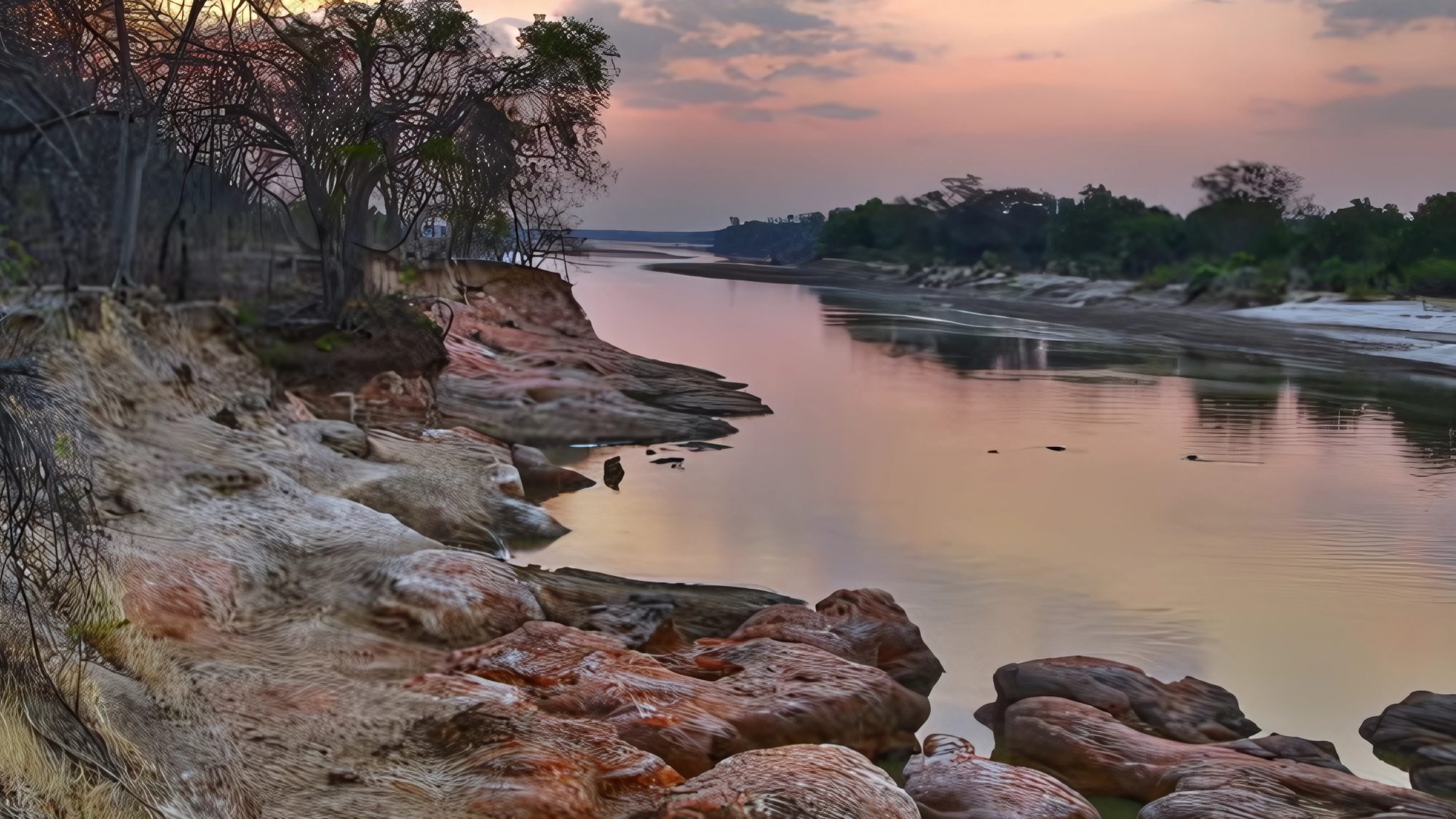 Luangwa_River