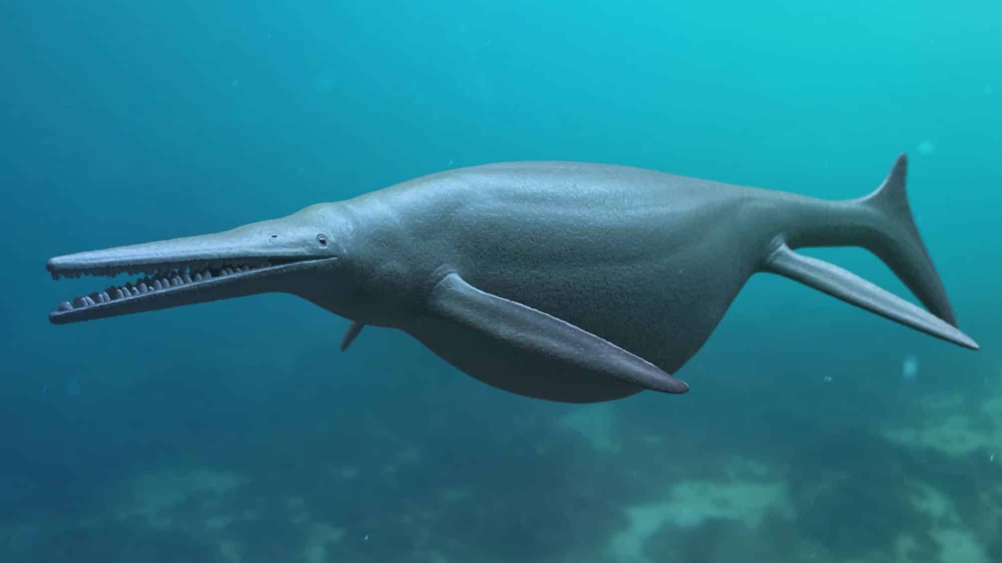 Ichthyosaurus