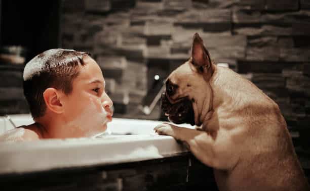 Bath with Pet