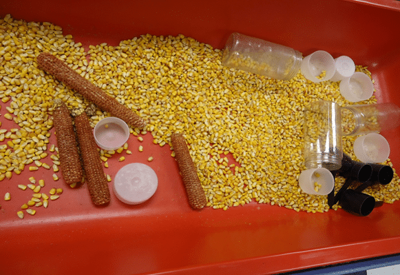 Corn Pit Sensory Bin