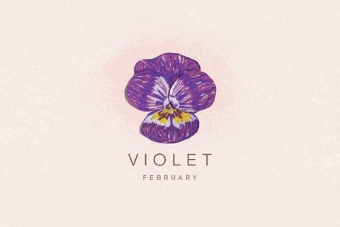February Birth Flower - Violet