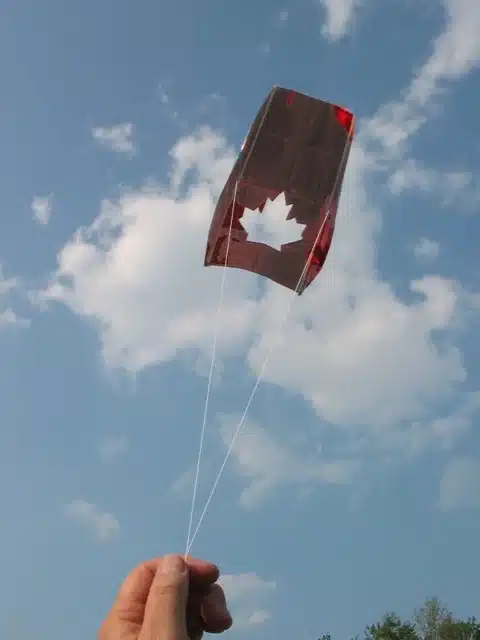 Flying Kites.jpg