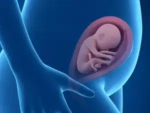 How Do Babies Breathe in The Womb? .jpg