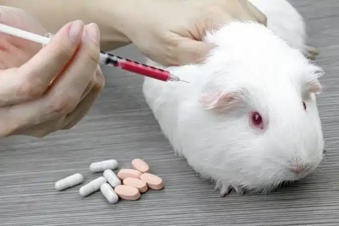 Is Animal Testing Justified?