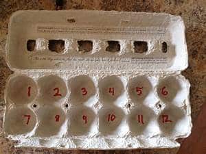 Let Us Do Some Egg Carton Multiplication
