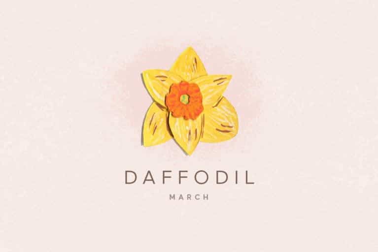 March Birth Flower - Daffodil