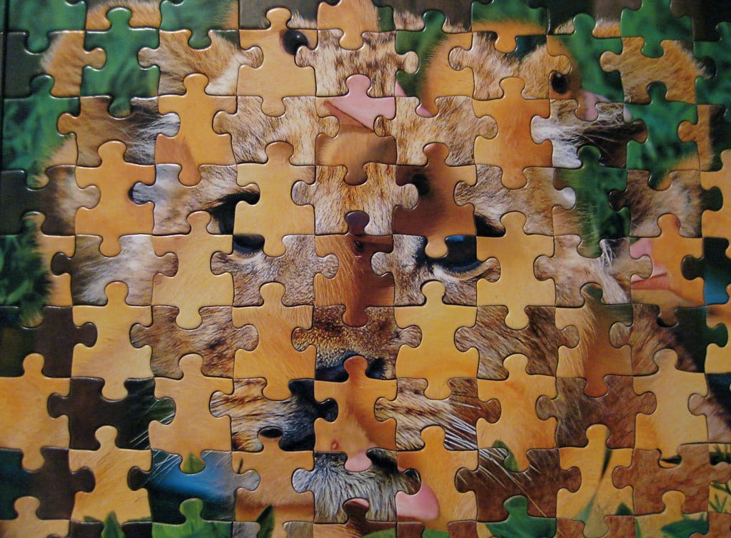 Puzzle Mash Up