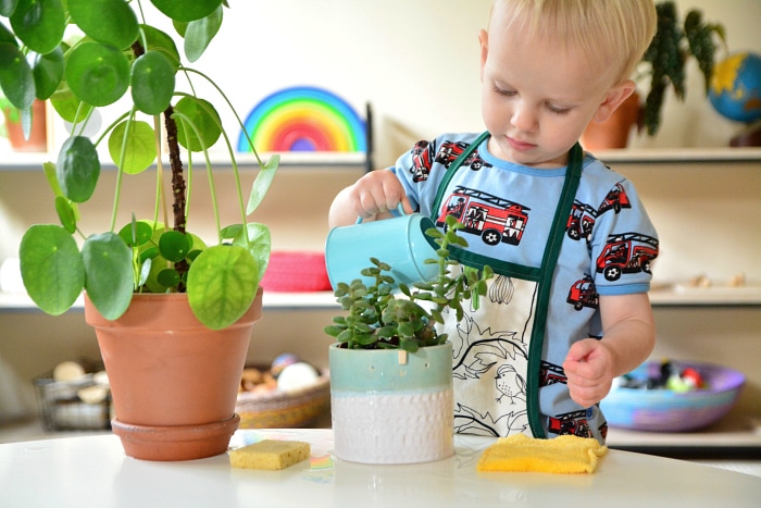 Teach them to Water the Indoor Plants