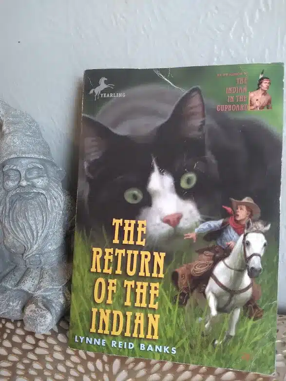 The Return of The Indian (The Indian in The Cupboard)