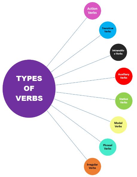 What Are the Different Types of Verbs, and Why Are They Important?