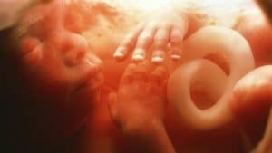 When Does a Baby Start Breathing in The Womb?