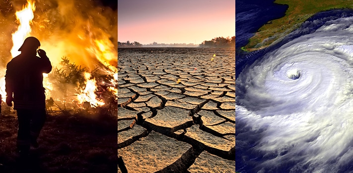 Consequences of Climate Change