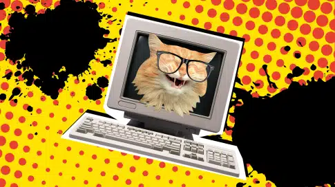 A cat wearing glasses.A humorous image representing the incorporation of computer jokes in a speech