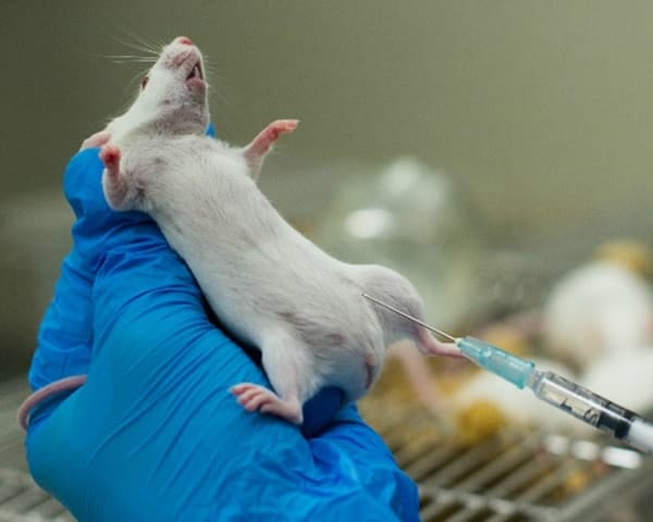 is-animal-testing-for-beauty-and-skin-products-necessary