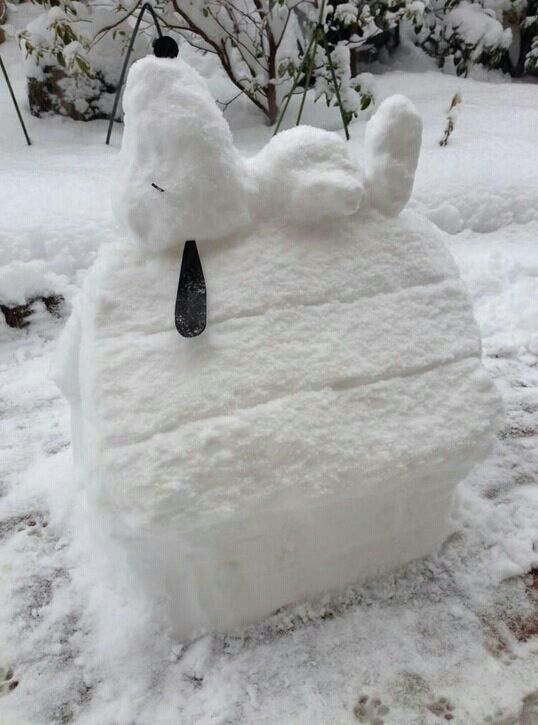 A fashionable snowbear standing tall in the snow, exuding style and elegance