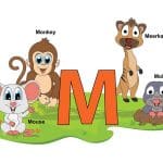 Animals that start with M