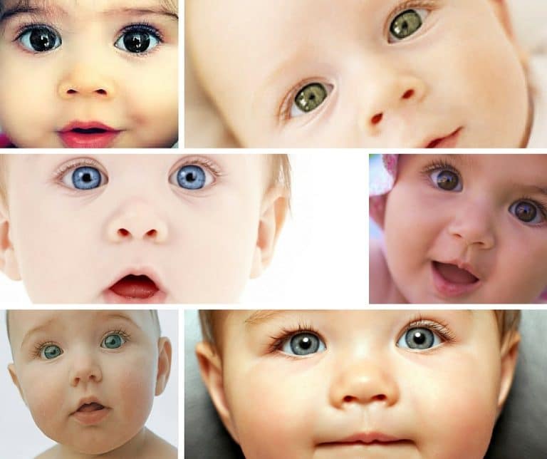 A collage of baby eyes showcasing various expressions. Image: Can Online Tools or Apps Predict a Newborn's Eye Color?