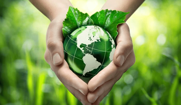 Hands cradling a green earth globe adorned with green leaves against a backdrop of grass.