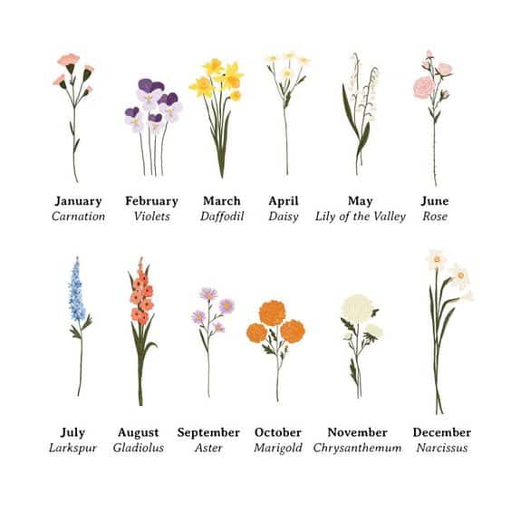How to Understand Birth Flowers