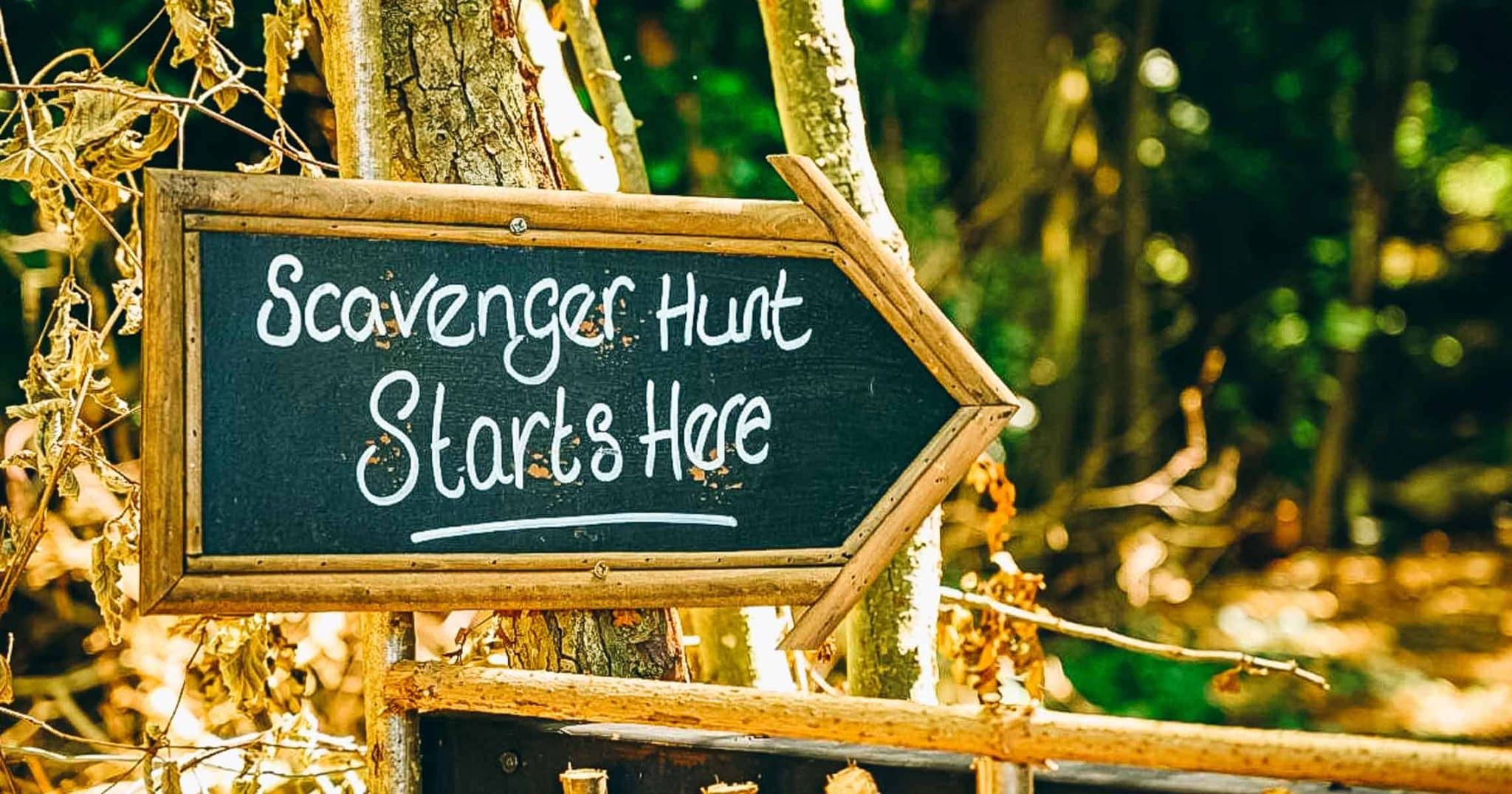 A rustic wooden sign amidst trees, guiding guests to a wedding ceremony surrounded by nature