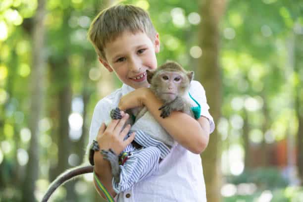 A young boy cuddling a monkey