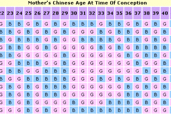 What is the Chinese Gender Calendar?