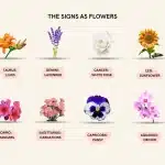Do Birth Flowers Reflect Personality Traits?