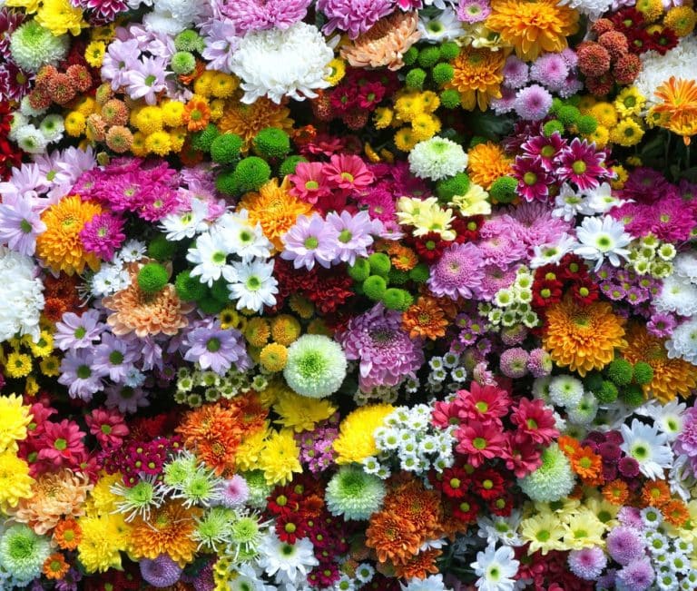 A beautiful flower arrangement showcasing a diverse range of flowers.