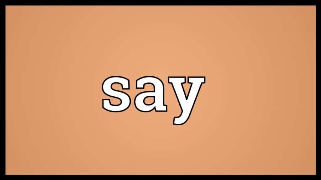 40 Animal Names that Start with C illustrated Tea Cup