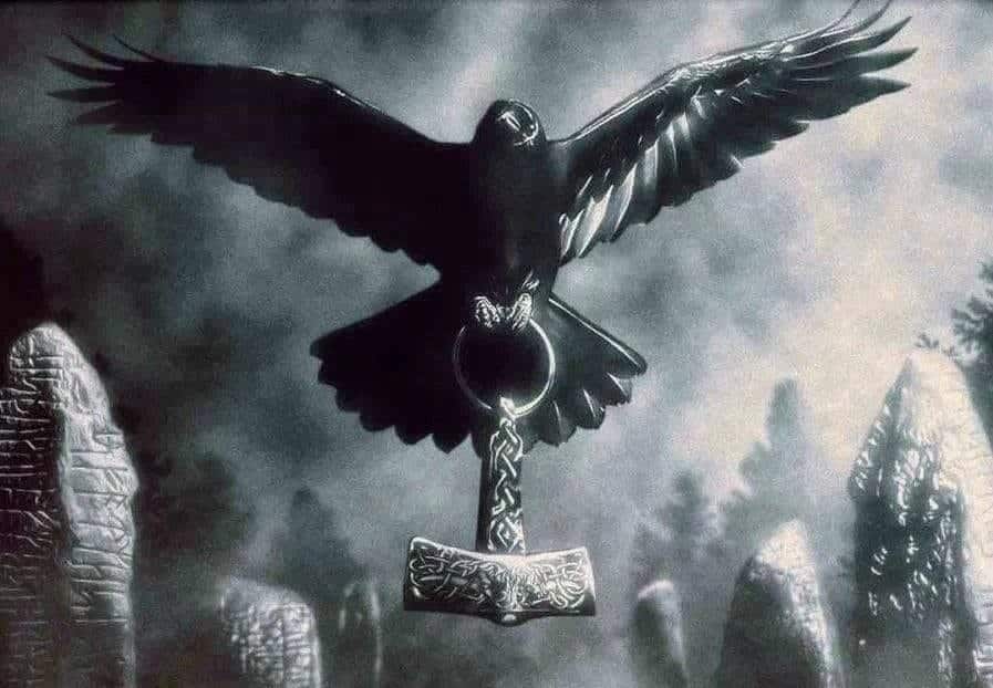 Raven 