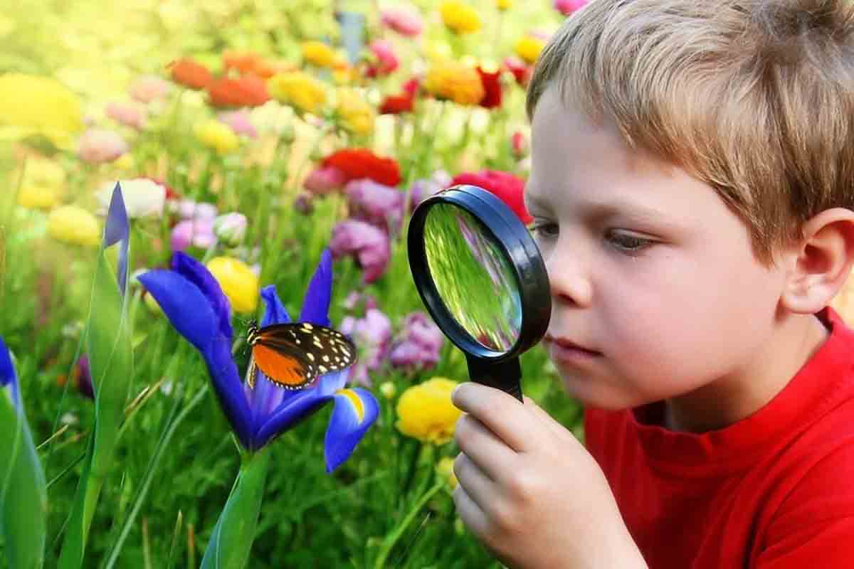 a boy looking at a butterfly through manifying glass