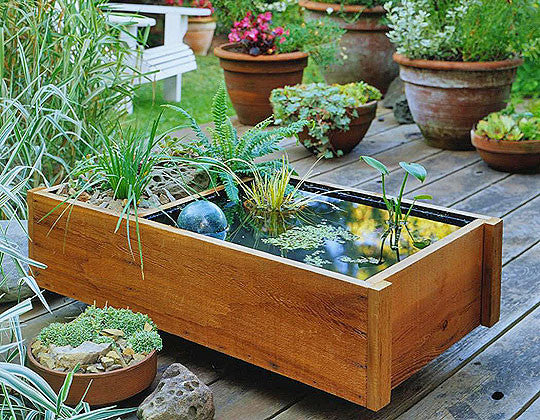 Pond Boxes