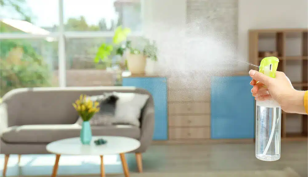 Key Ingredients to Look For in a Non-Toxic Air Freshener
