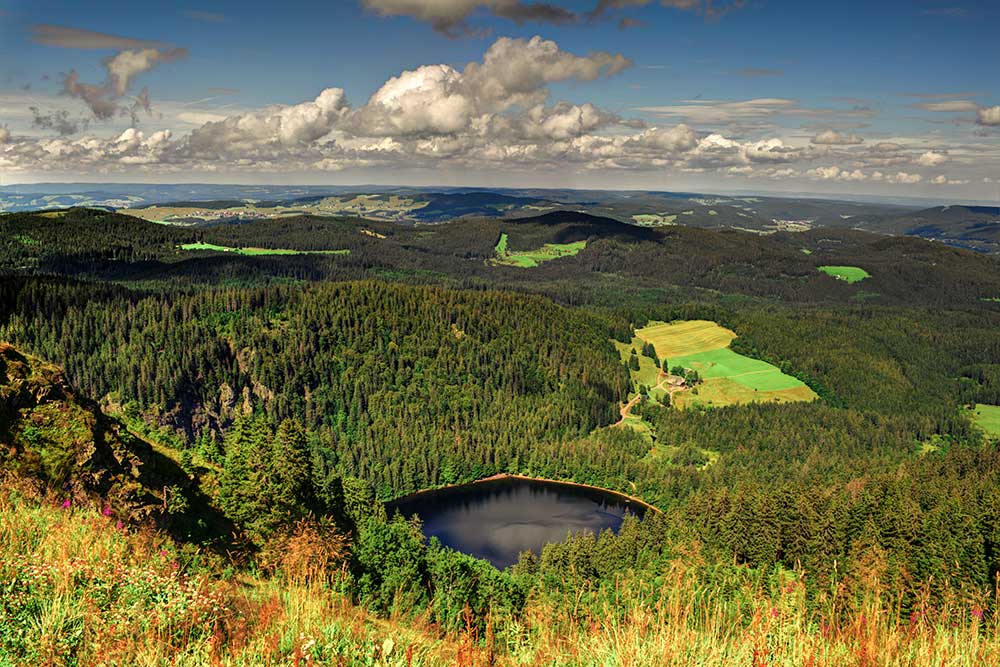 Explore the Black Forest