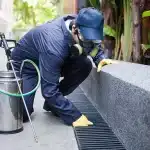 Commercial Pest Control For Businesses
