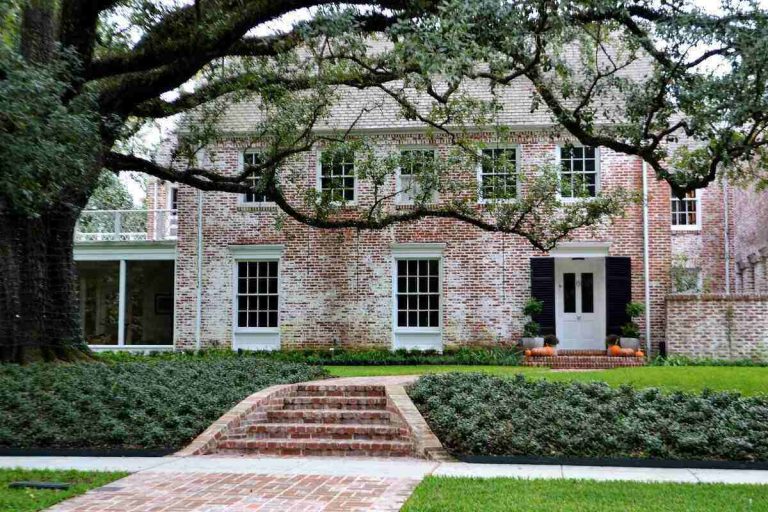Transforming Your Houston Lawn with Expert Care in Houston