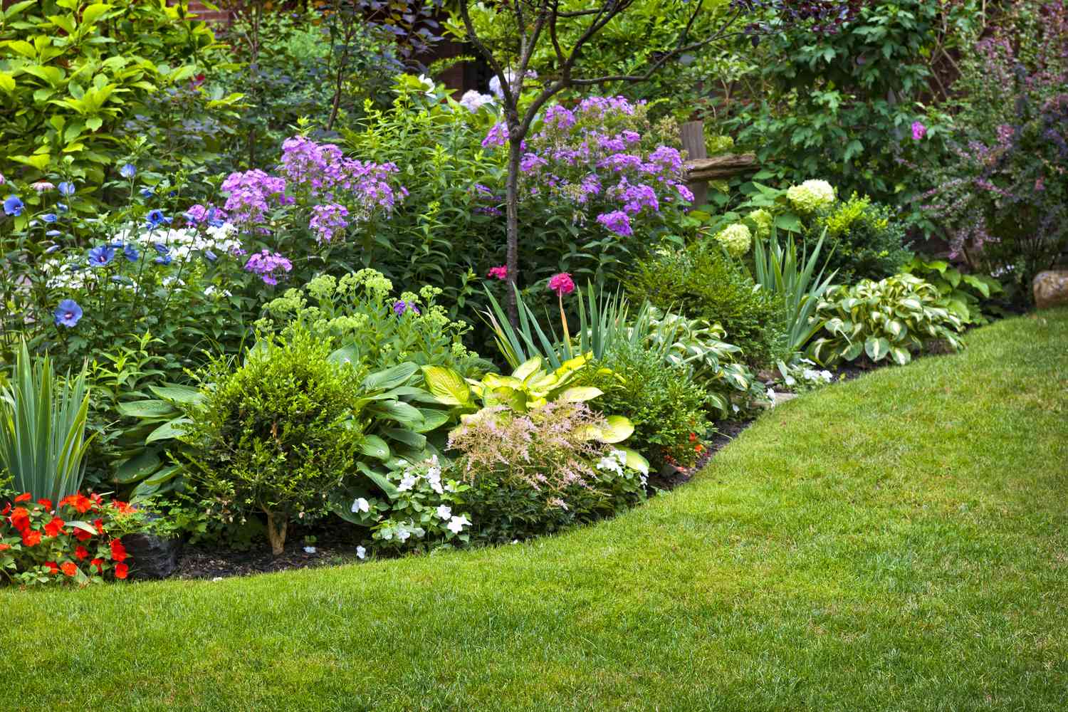 The Essentials of Landscape Design