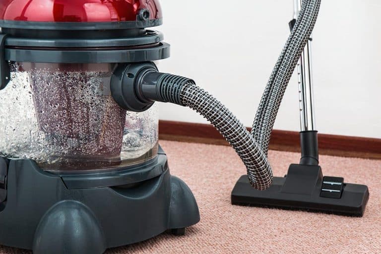 Why Carpet Cleaning is Essential for Office Maintenance