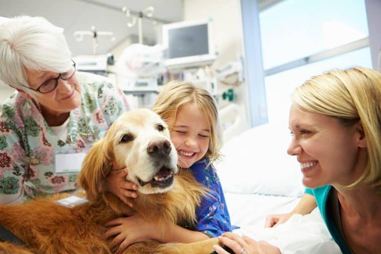 Are Emotional Support Dogs Allowed in Hospitals?