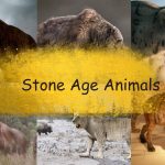 stone age animals