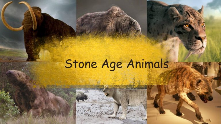 stone age animals