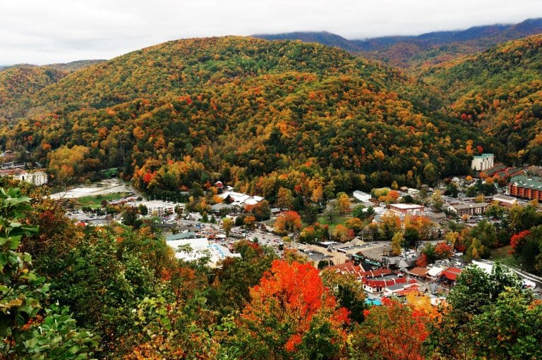 Planning a Family Trip? Discover Why Gatlinburg is a Must-Visit