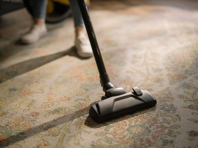 Dust Mite Surges and Carpet Cleaning in Sydney
